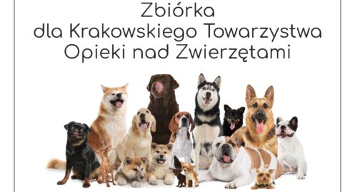 Zbiórka dla Krakowskiego Towarzystwa Opieki nad Zwierzętami
